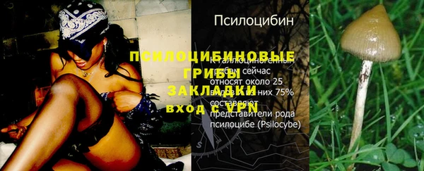 мефедрон мука Богданович