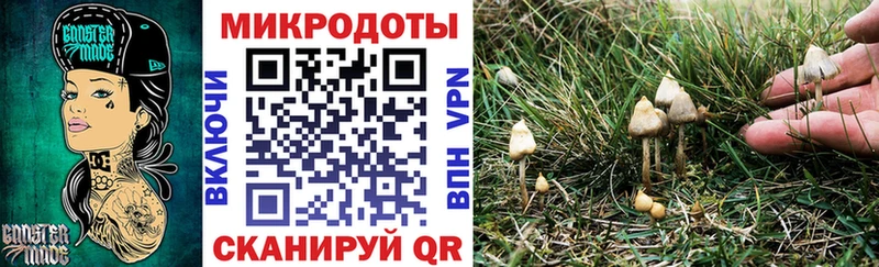 Галлюциногенные грибы Psilocybe  наркота  Светлый 